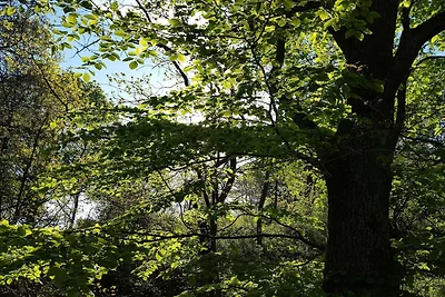 30 Personen Ferienhaus in Ebeltoft-By Traum