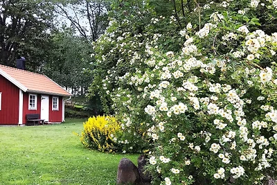 4 Personen Ferienhaus in FALKÖPING-By Traum