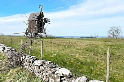 4 sterren vakantie huis in FäRJESTADEN