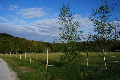 Wohnung in Kammerstein nahe Waldwege