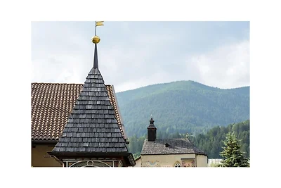 Stella alpina sul Mahrhof