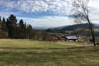 Gemütliches Ferienhaus in Konzell mit...