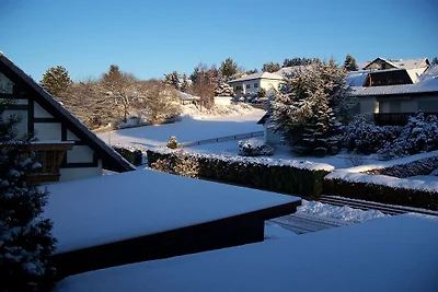Ferienhaus in Dodenau mit Schwimmbecken