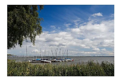 Casa vacanze a Neustadt con piscina