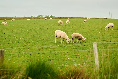 apartman za odmor Obiteljski odmor Den Burg