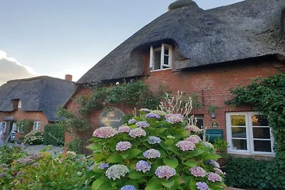 Ferienhaus mit 3 Schlafzimmer