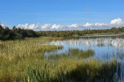 6 persoons vakantie huis in Ansager-By Traum