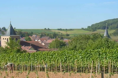 Pfaelzerleben Komfortable Ferienresidenz