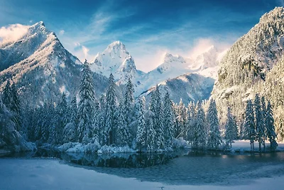 Moderne studio met woon- en slaapgedeelte.