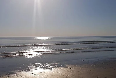 Kustenflucht in Sonderho -- By Traum...