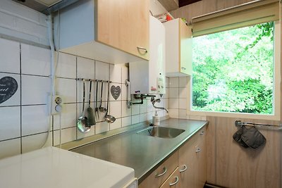 Leuk vakantiehuis in Ommen bij het Bunderbos