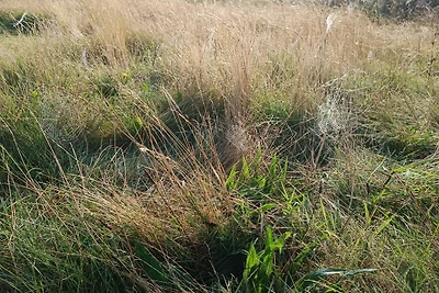 5 Personen Ferienhaus in Lemvig