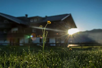 Vakantieappartement in Bolsterlang met sauna