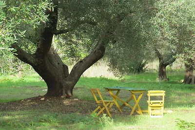 Ferienhaus mit 1 Schlafzimmer