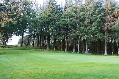 6 Personen Ferienhaus in Struer-By Traum