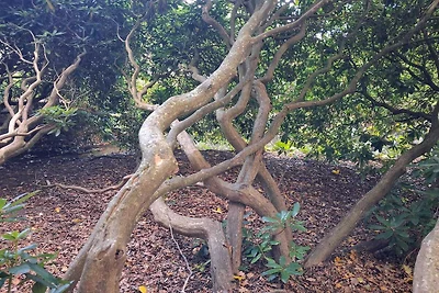 6 Personen Ferienhaus in Sæby-By Traum