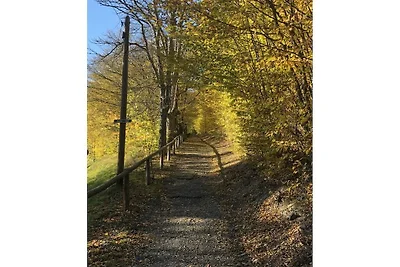 Schwarzatal  Wiesenblick