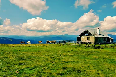 Dom wakacyjny w regionie Lungau