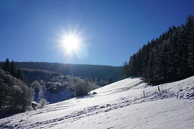 Gruppenvilla mit Waldzugang in Winterberg