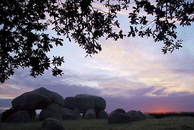 Unica capanna di zolle Drenthe con terrazza a...