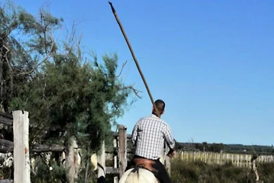 Ferienwohnung in Grau-du-Roi in Strandnähe