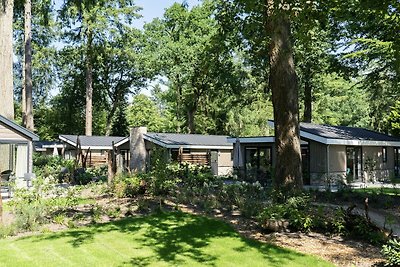 Modern chalet met afwasmachine, 20 km.