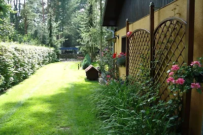Sonnenschein in Nassenheide