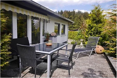 "Free Willi" mit Wintergarten