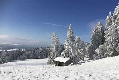 Vue sur le jardin Gerberhof