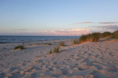 4 persone case ad Læsø
