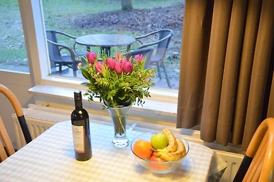 Gemütliches Ferienhaus mit Terrasse in...