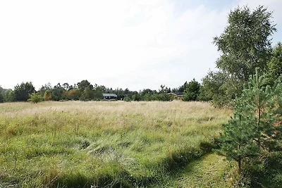 8 Personen Ferienhaus in Hals