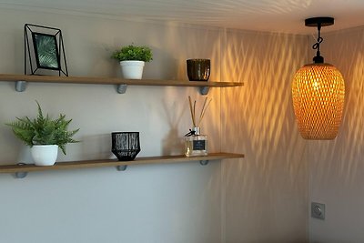 BSD Dune (Haustiere erlaubt)