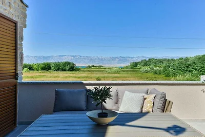 Villa in Privlaka mit Schwimmbecken