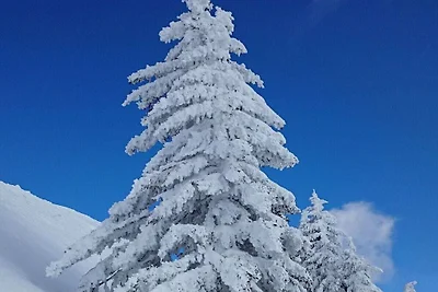 Hütte in Grossarl mit Barbecue und Wifi