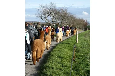 Vakantiehuis in Windeck met zwembad