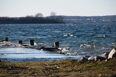 Ruim vakantiehuis met uitzicht op de fjord