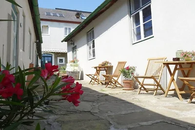1 Domaine viticole Hauerhof 99