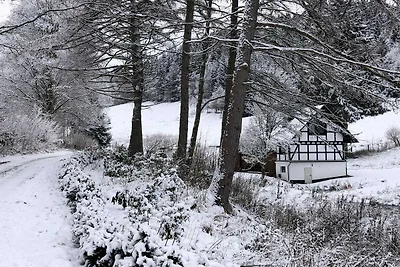 Ritiro sullo stagno a Winterberg