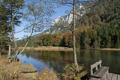 Bäckeralm en la casa de huéspedes Fegg