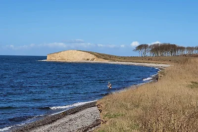 8 Personen Ferienhaus in Bagenkop