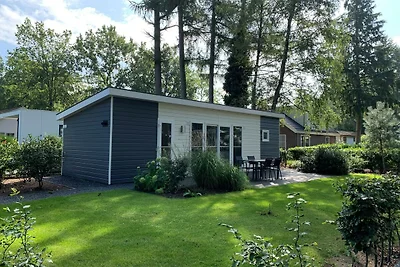 Modernes Chalet im Achterhoek