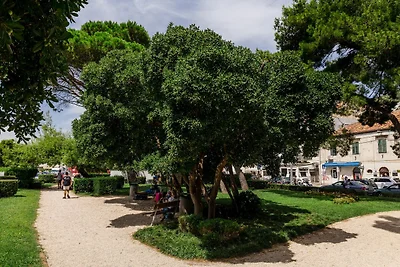 Rooms Edna - Economy Double Room