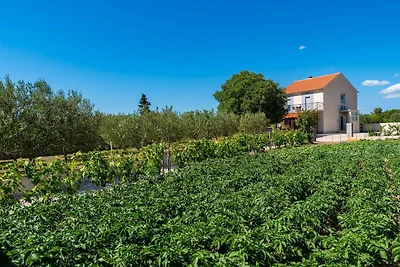 Villa mit Pool im ruhigen Tinj