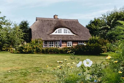 Ferienhaus in Garz mit Schwimmbecken
