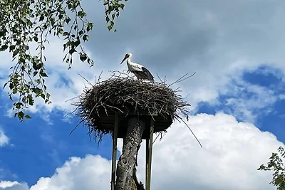 4 persoons vakantie huis in LÖVESTAD