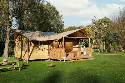Glamping di lusso nell'Horsterwold
