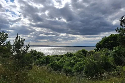 Wohnung in Lütow nahe Ostseestrand