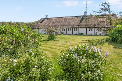 4 Sterne Ferienhaus in Læsø