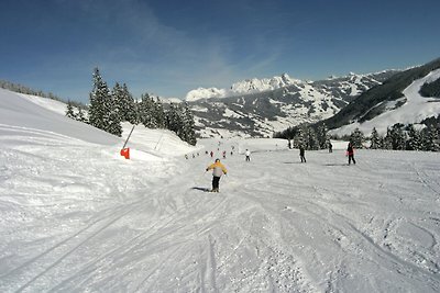 Ski Inn Ski Out in Saalbach near Zell am See...